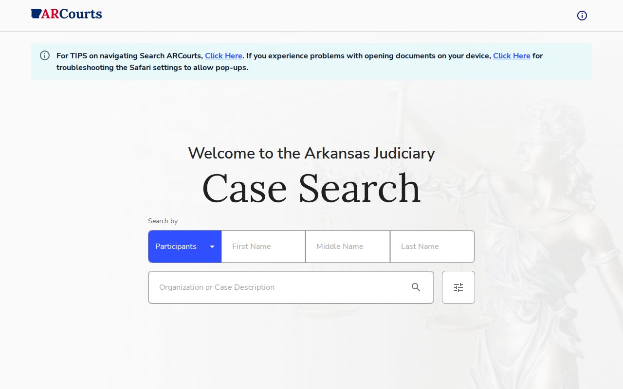 Search ARCourts public case search page